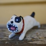 Dudley dog